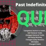 Past Indefinite tense Quiz