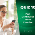 Past Continuous / Progressive Tense Quiz, Test, Exercise