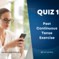 Past Continuous Tense Exercise