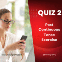 Past Continuous / Progressive Tense Quiz