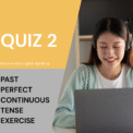 Past Perfect Continuous Tense Quiz