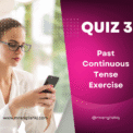 Past Continuous Tense Test