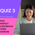 Past Perfect Continuous Tense Exercise