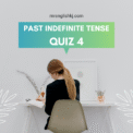 Past Indefinite Tense Exercise
