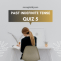 Past Indefinite / Simple Tense Quiz, Test, Exercise