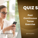 Past Continuous Tense Quiz, Test, Exercise