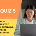 Past Perfect Continuous Tense Exercise