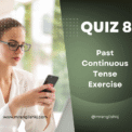 Past Continuous Tense Exercise