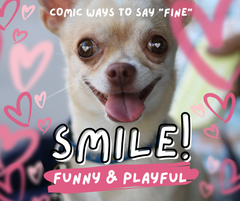 Learn funny and comic ways to address replies of most generic conversation starter. How to start talking.